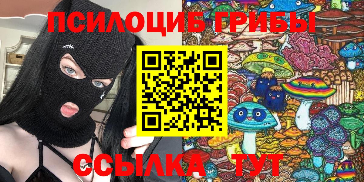 Ишим  Псилоцибиновые грибы Psilocybine cubensis  Вход с VPN 