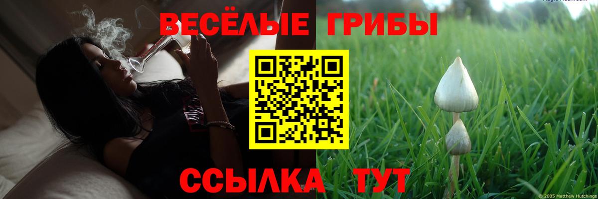 Галлюциногенные грибы GOLDEN TEACHER Ишим